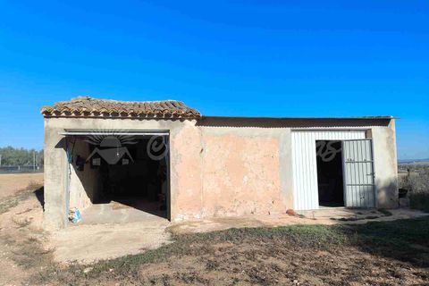 Landejendom i Yecla, Murcia, Yecla - € 63.000 | Ref: SF0550 - foto 24